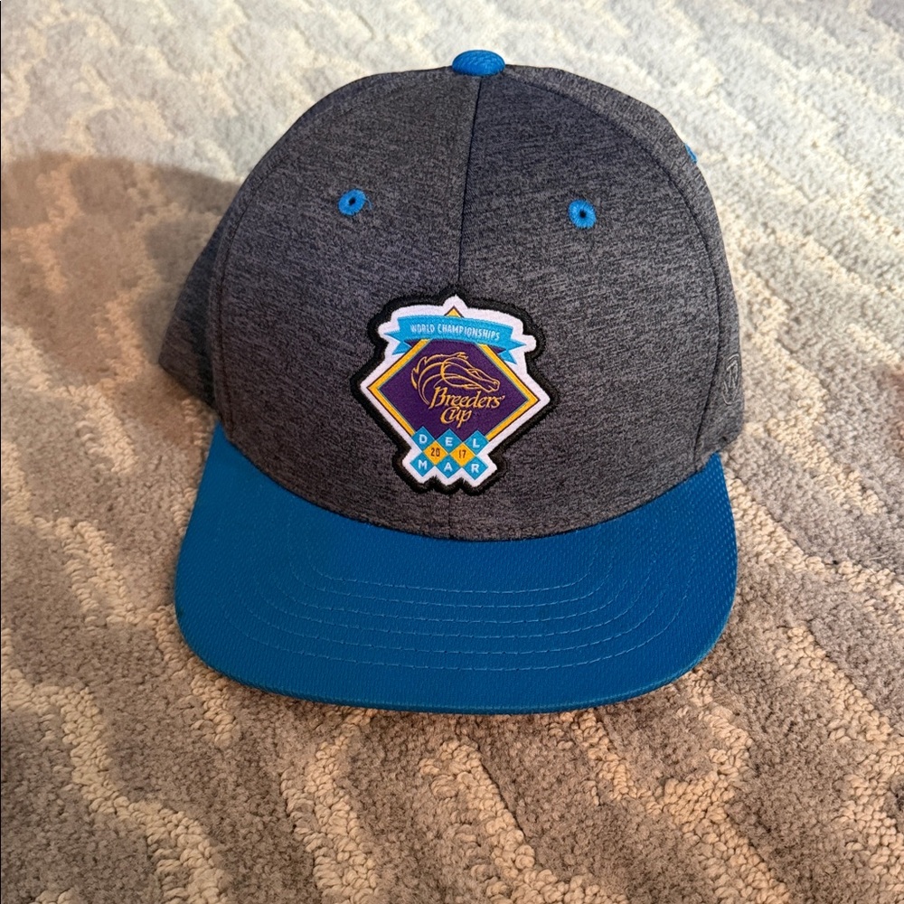 Gray and Blue Hat